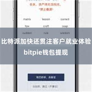 比特派加快还贯注客户就业体验bitpie钱包提现